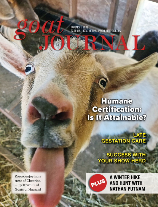 Goat Journal Digital Issue 21